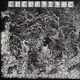 USED - Chthe'ilist – Passage Into The Xexanotth 7"