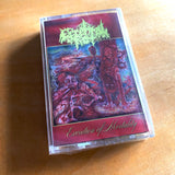 Cerebral Rot - Excretion Of Mortality Tape