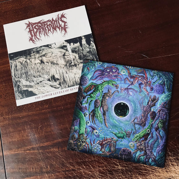 Astriferous Vinyl Pack