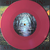 BLEMISH / USED - Blood And Sun – Cain's Orchard 7"
