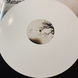 Vananidr - In Silence Descent LP
