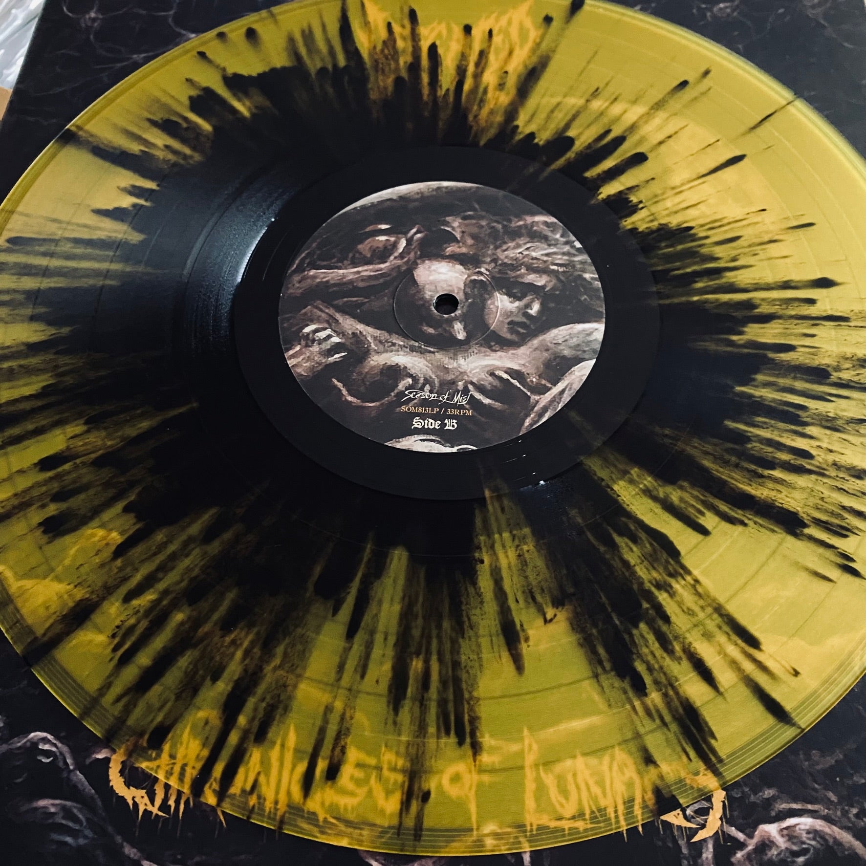 pukelization　liturgy　貴重デスメタル Defeated Sanity - Chronicles Of Lunacy vinyl LP - Season Of