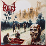 Fulci Vinyl Bundle