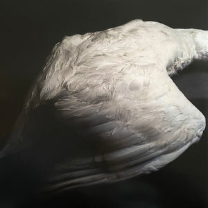 Amenra - Mass VI LP