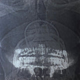 USED - Vile Intent – In The Shadow Of The Skull 7"