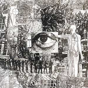 Erosion - Invasive Species LP