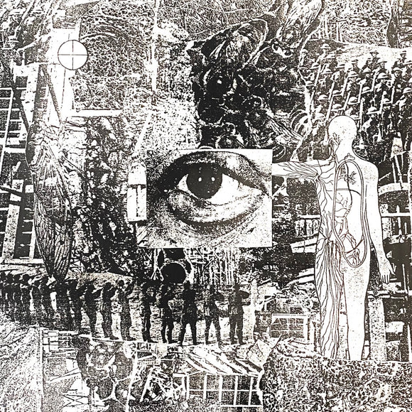 Erosion - Invasive Species LP