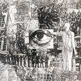 Erosion - Invasive Species LP