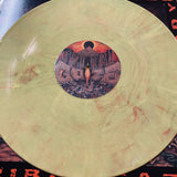 Deadbody / Tribal Gaze - Split LP