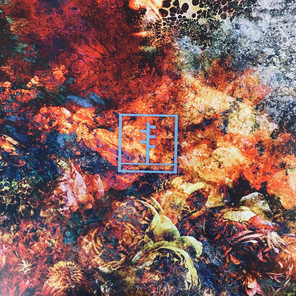 Frail Body - Artificial Bouquet LP