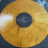 Meshuggah - Meshuggah 12"