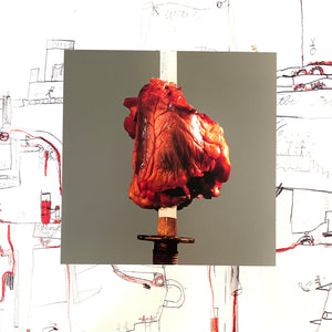 USED - Gore - Hart Gore 2xLP