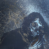 USED - Vermin Womb – Decline LP