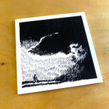 BLEMISH - Touché Amoré – ...To The Beat Of A Dead Horse CD