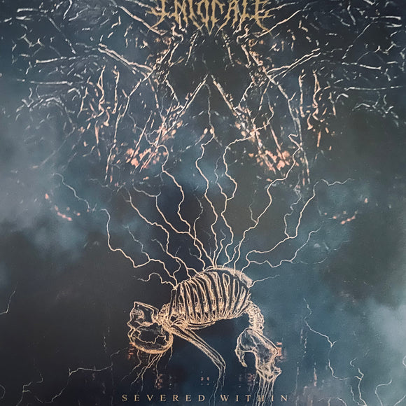 USED - Intonate – Severed Within LP
