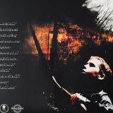 Vein.fm - This World Is Going To Ruin You LP