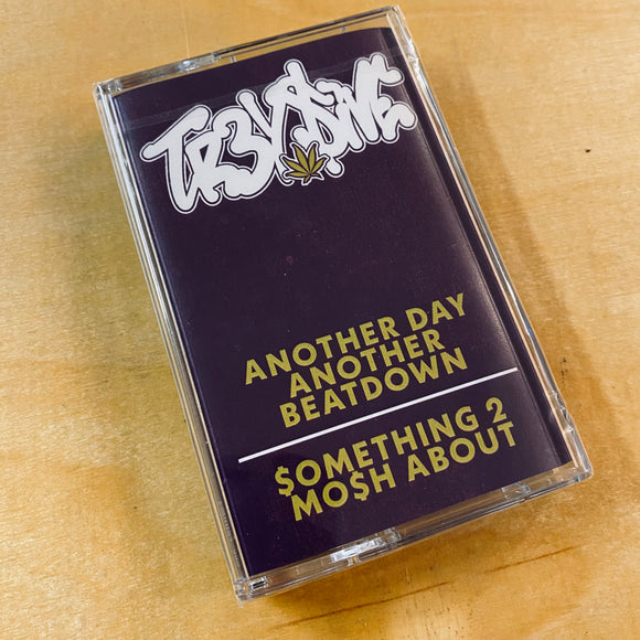 TR3Y 5IVE - Another Day Another Beatdown / $omething 2 Mo$h About Cassette
