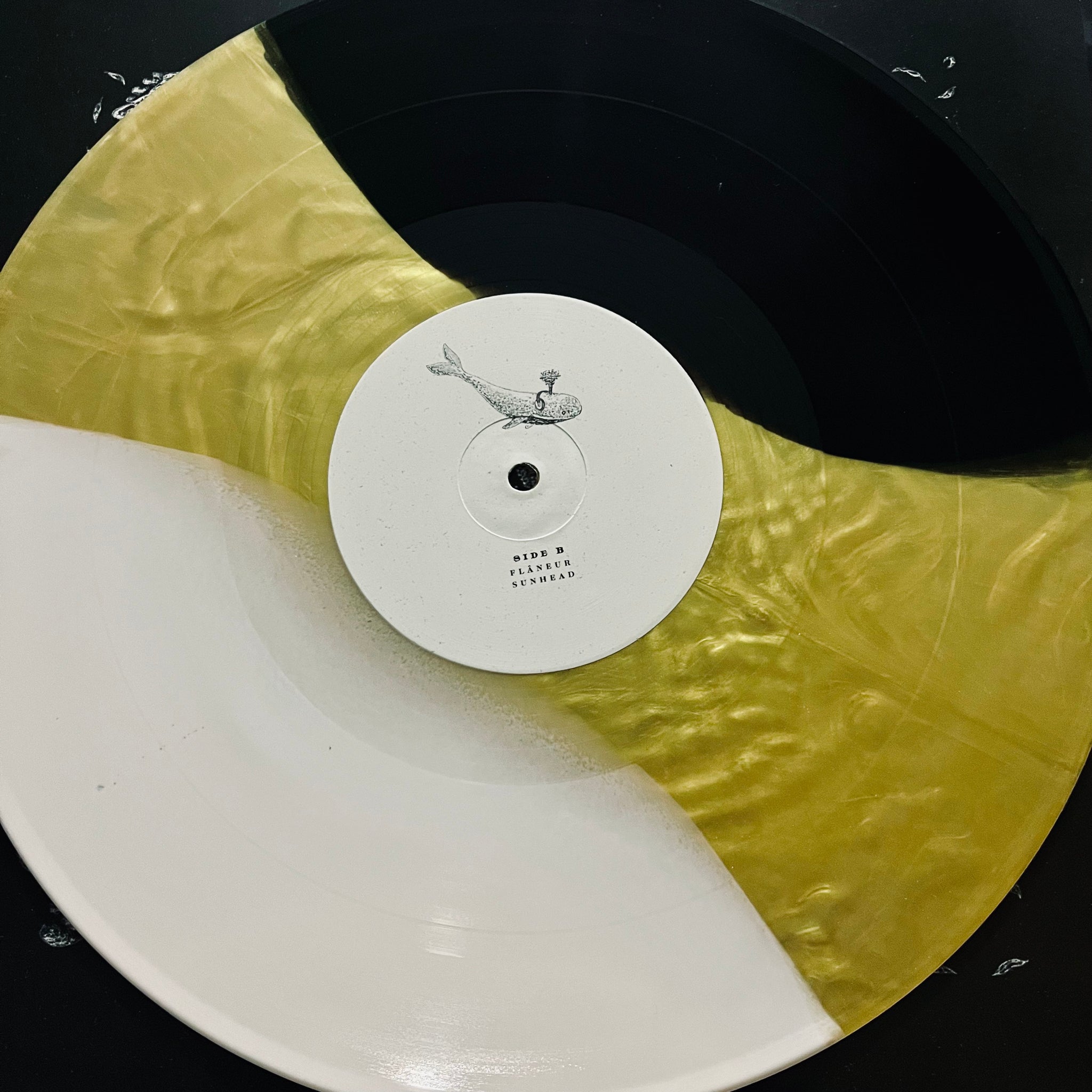 洋楽 Plini / Sunhead Plini - Sunhead - Coloured Vinyl Record - Salt + Charcoal