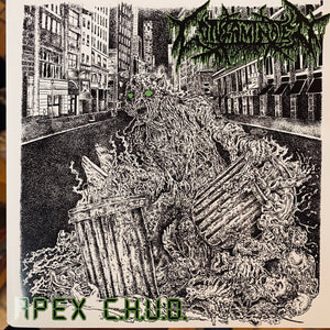 Contaminated / Fistula - Split 7"