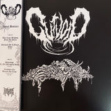 Gutvoid - Astral Bestiary LP
