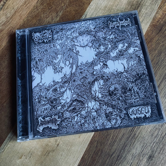 Oxalate / Perpetuated / Blood Spore / Vivisect - Split CD