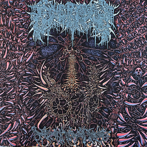 Civerous - Decrepit Flesh Relic LP