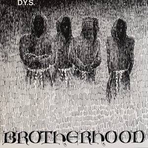 DYS - Brotherhood LP