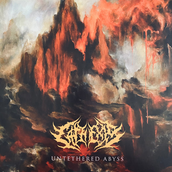 USED - Cathexis - Untethered Abyss LP