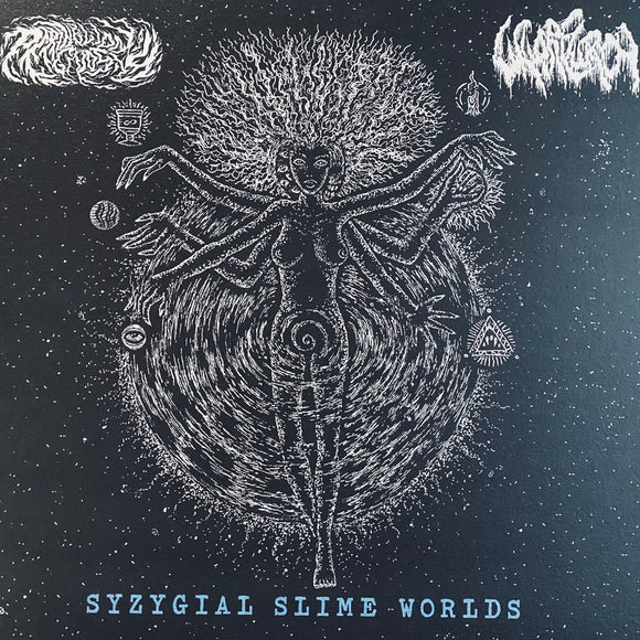 USED - Perihelion Gnosis / Wharflurch - Syzygial Slime Worlds 12