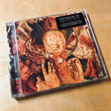 FesterDecay - Reality Rotten To The Core CD