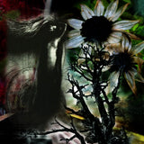 Erlöst / Twilight Furniture – Split Cassette