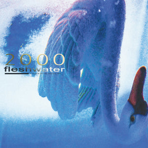 Fleshwater - 2000: In Search Of The Endless Sky LP