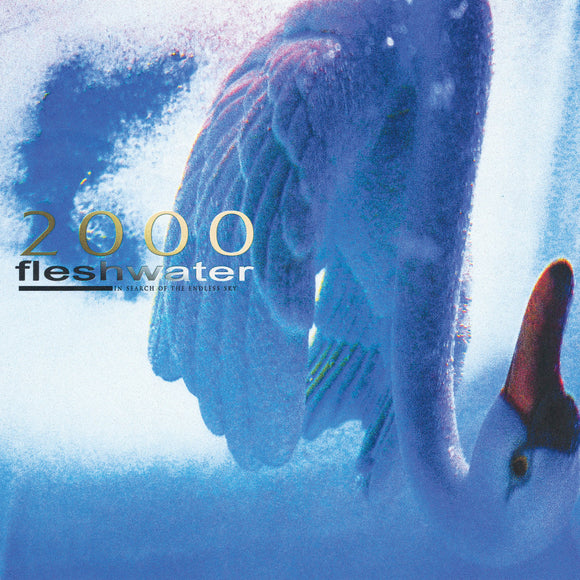 Fleshwater - 2000: In Search Of The Endless Sky LP