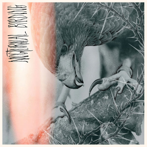 Author & Punisher - Nocturnal Birding 2xLP