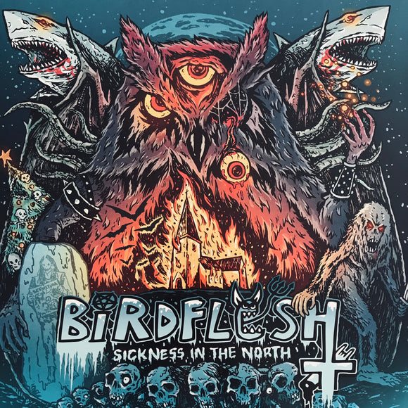 USED - Birdflesh - Sickness In The North LP