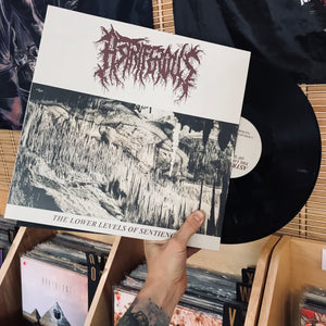 Astriferous - The Lower Levels Of Sentience LP