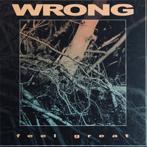 USED - Wrong - Feel Great LP