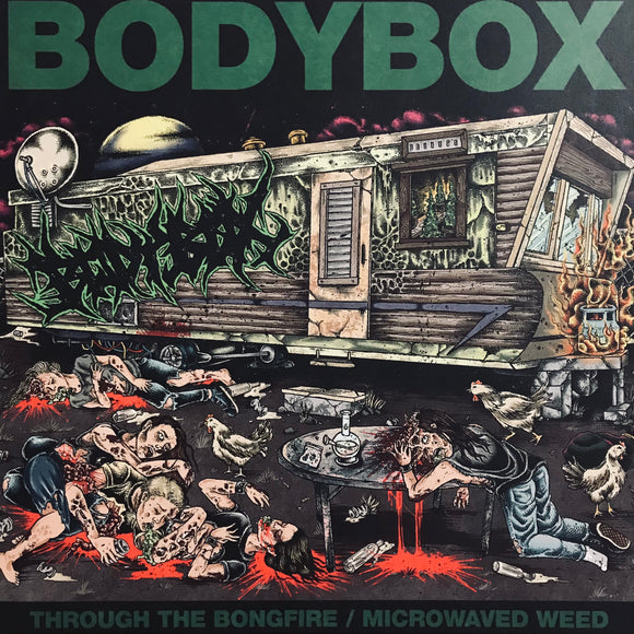 Bodybox - Through The Bongfire / Microwaved Weed 12
