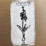 BLEMISH - Jiyuna! – This Desolate Veil LP