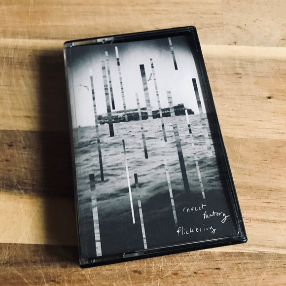 Insect Factory – Flickering Cassette