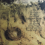 The Reptilian – End Paths LP