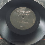 Phobocosm - Everlasting Void 7" EP