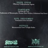 Blood Spore / Coagulate / Soul Devourment / Gutvoid – 4 Dimensions Of Auditory Terror 12"