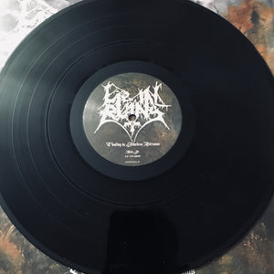 Lie In Ruins - Floating In Timeless Streams LP