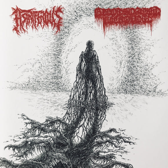 Astriferous / Bloodsoaked Necrovoid - Split 7