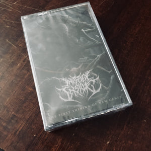 Insect Inside - The First Shining Of New Genus Cassette