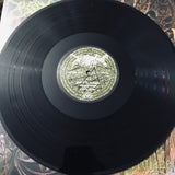 Worm - Foreverglade LP