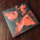 Martyr AD - The Human Condition In Twelve Fractions 10" Box Set
