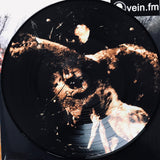 Vein.fm - This World Is Going To Ruin You LP